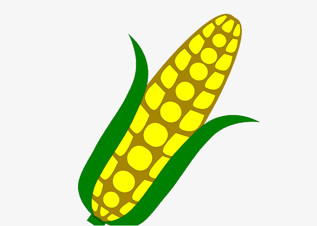 650x464 hand drawing cartoon corn, cartoon clipart, corn clipart, corn png