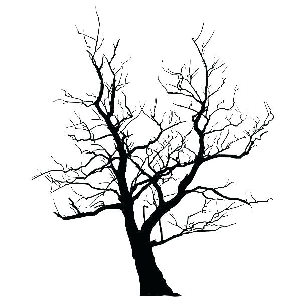 612x612 Bare Tree Drawing