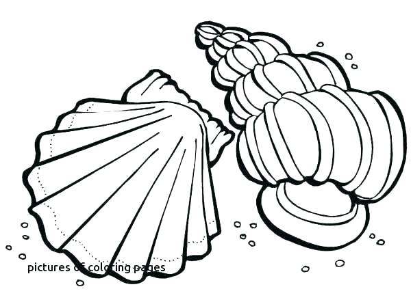 600x442 November Coloring Sheets Coloring Pages For Free Coloring Pages