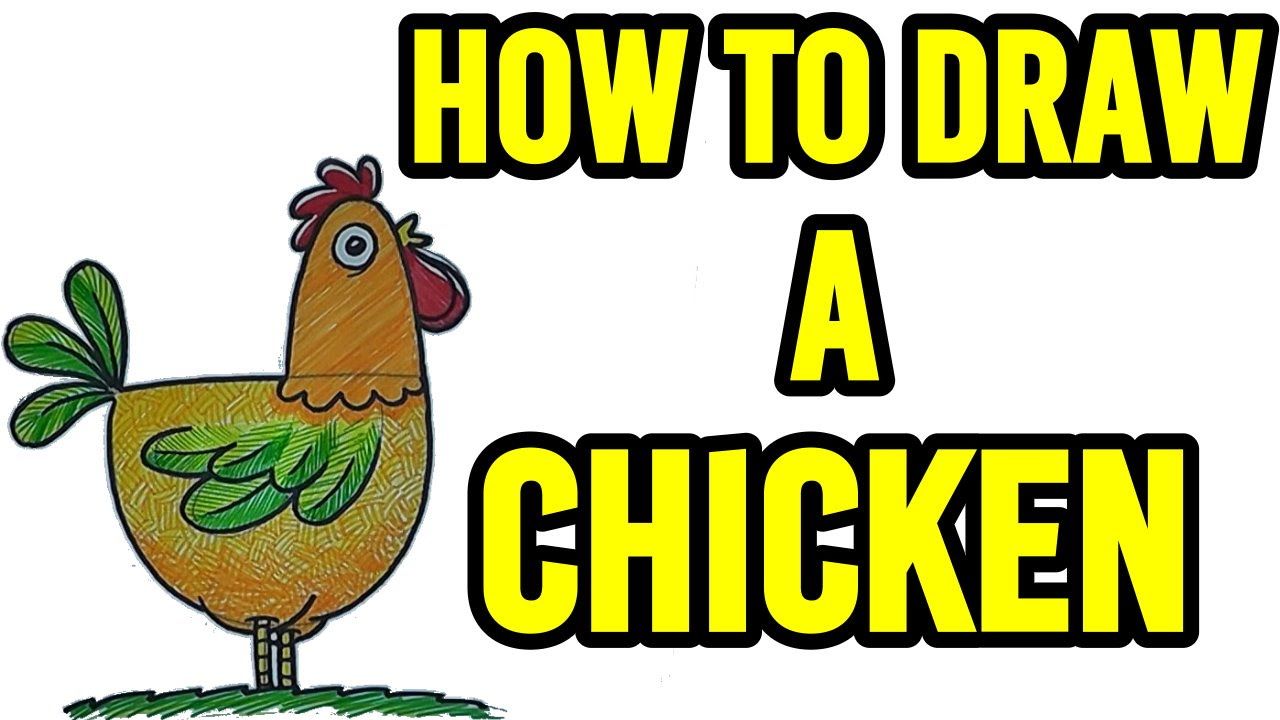 1280x720 How To Draw A Chicken Step