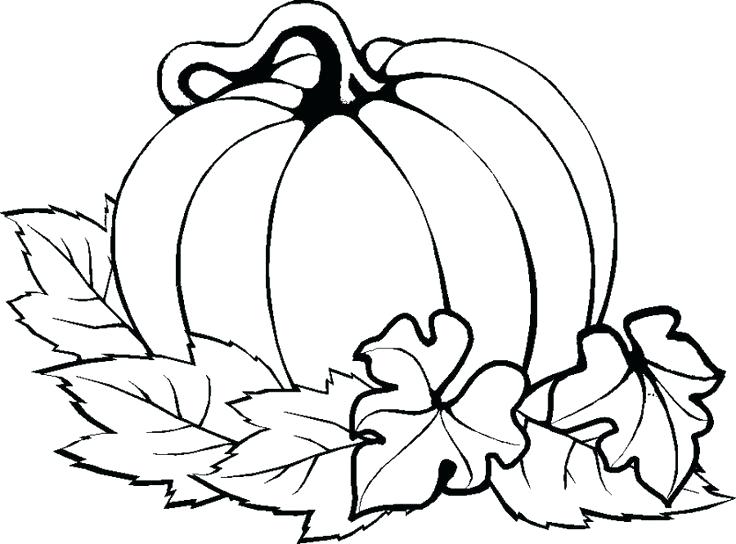 736x544 Pumpkin Coloring Patterns Cute Pumpkin Coloring Pages