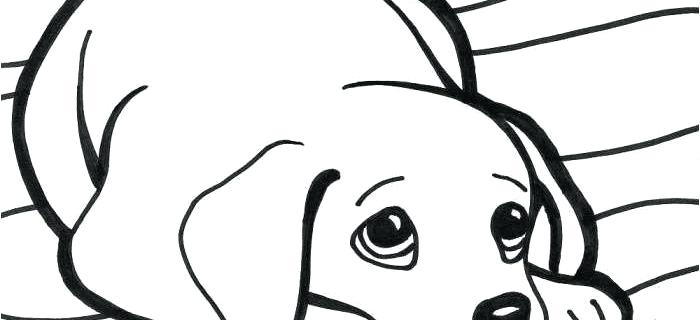 700x320 dog printouts color pages hashclub