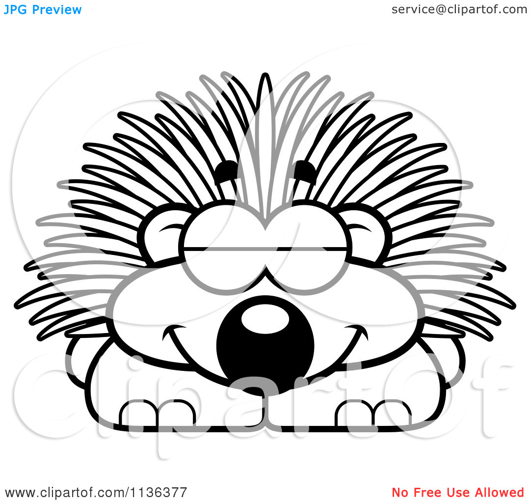 1080x1024 How To Draw Porcupine Drawing Videos For Kids Coloring