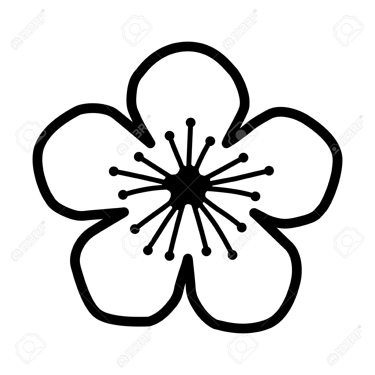 1300x1300 Blossom Drawing Pattern Transparent Png Clipart Free Download