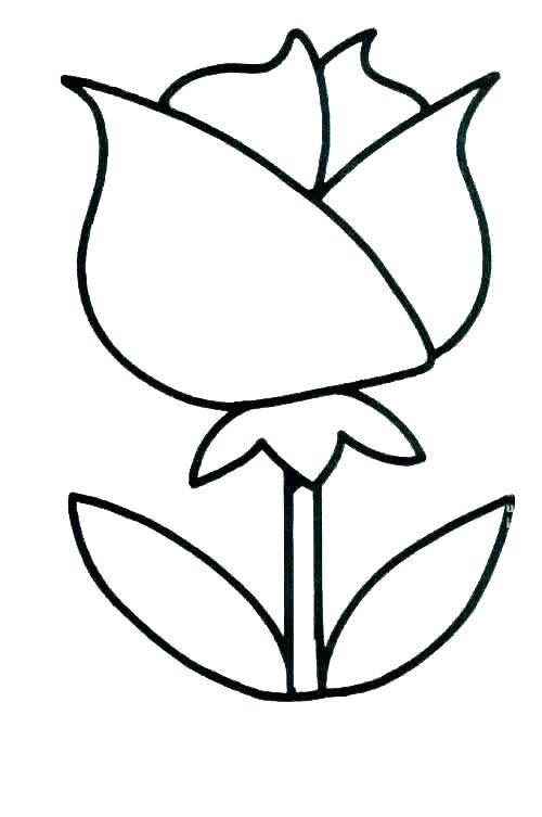 500x753 Coloring Pages Year Printable Easy Drawing For At Free
