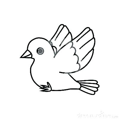 400x400 Various Elegant Collection Simple Bird Drawing For Kids Pencil