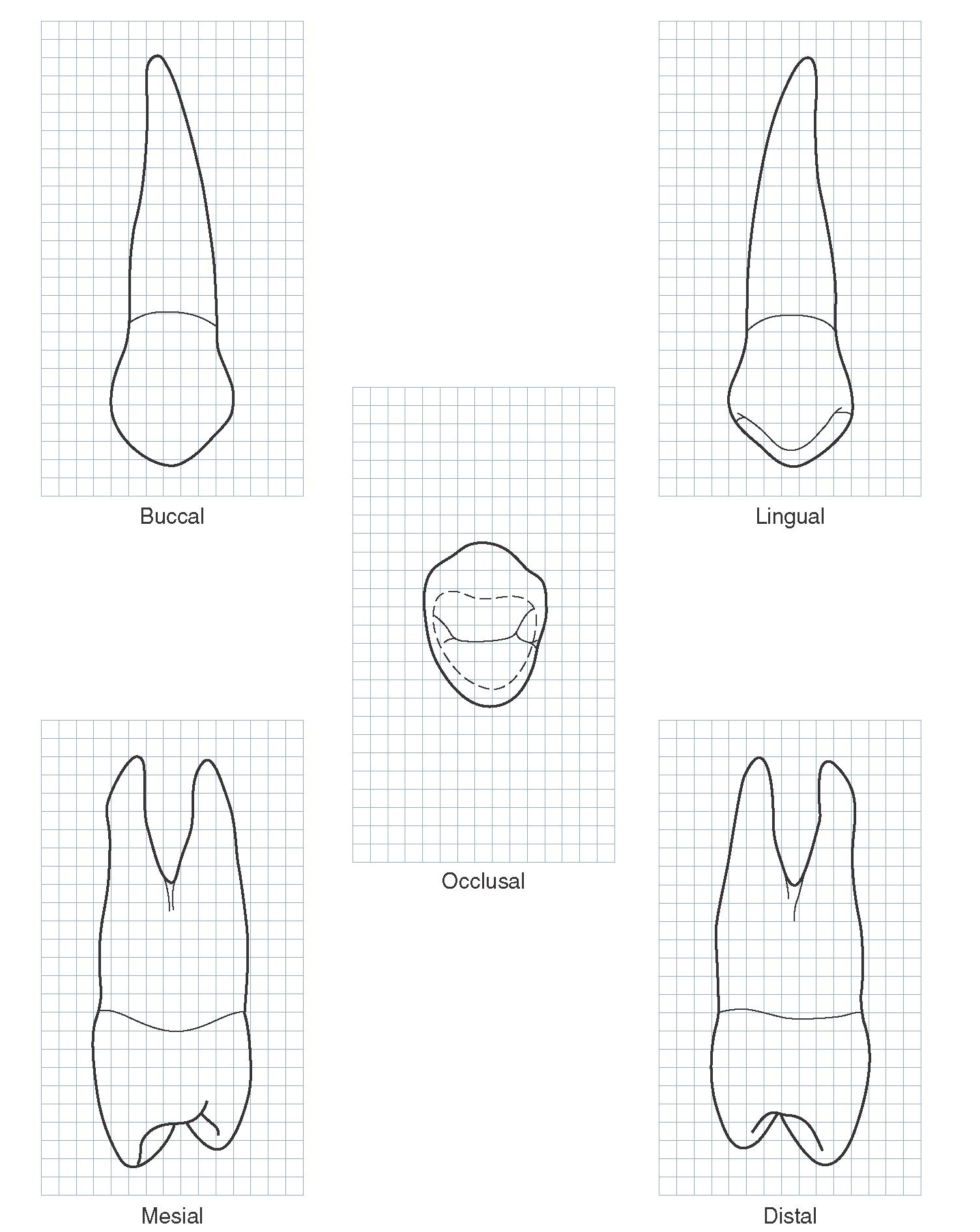 1504x1891 Graph Drawing Creative For Free Download