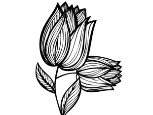 310x233 Hand Drawn Flower Design Free Vectors Ui Download