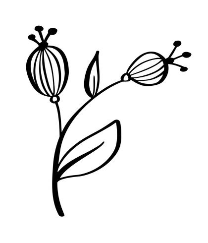 420x490 Hand Drawn Modern Flowers Drawing And Sketch Floral With Line Art