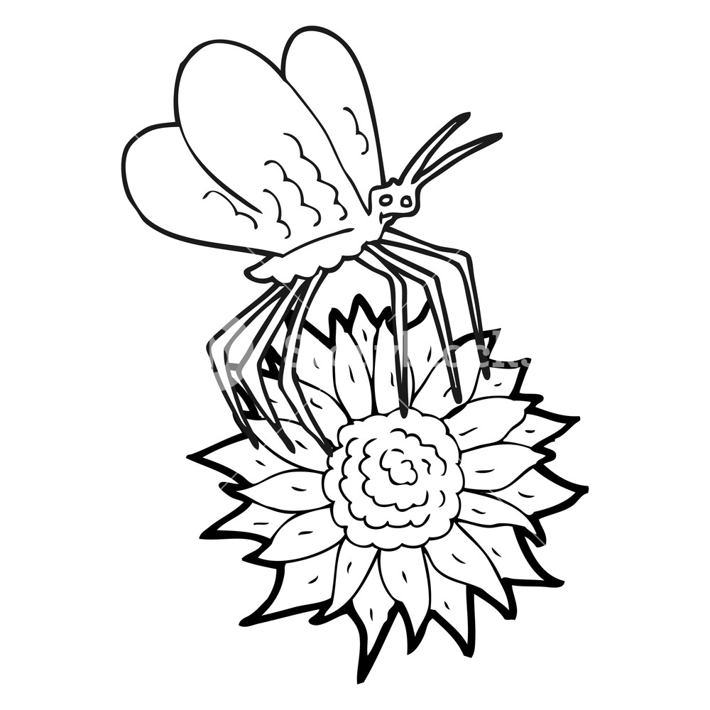 1000x1000 Freehand Drawn Black And White Cartoon Butterfly On Flower Royalty