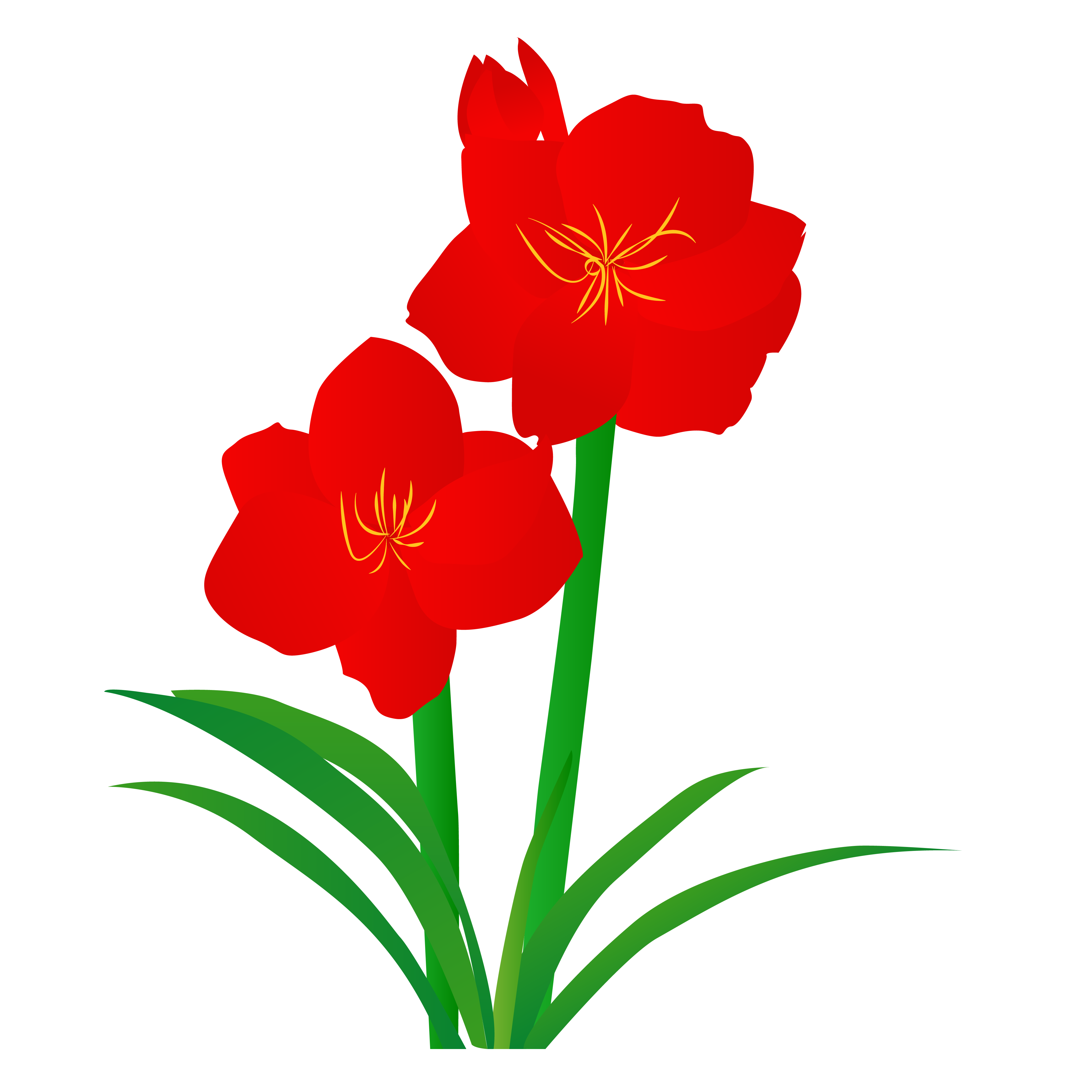 4167x4167 Hand Drawn Line Drawing Flower Plant Illustration Image