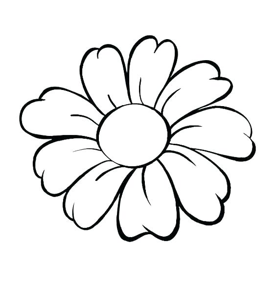 564x589 How To Draw Simple Flower Cards Flowers Hand Drawing Vector How