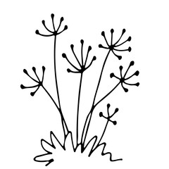 240x240 Set Of Outline Hand Drawn Flowers, Sketch Art, Freehand Drawing
