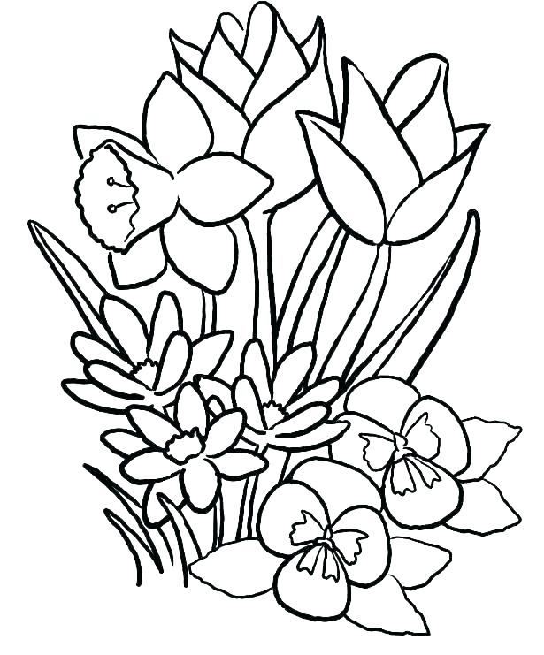 615x741 tropical flowers stained glass coloring book hand drawn tropical