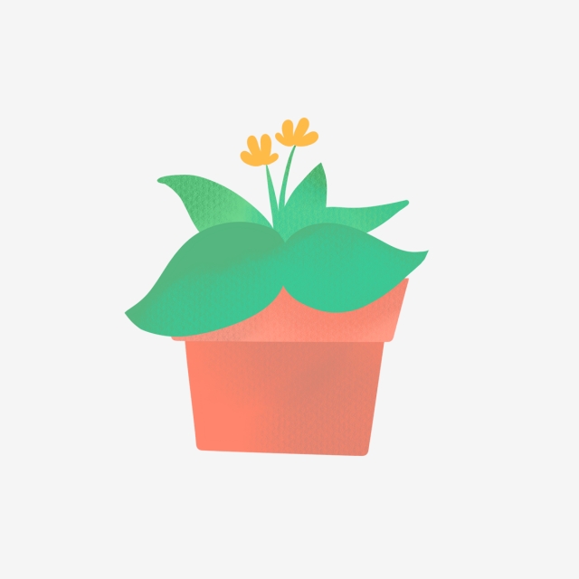 640x640 hand drawn cute home plant with flower, nature, hand drawn