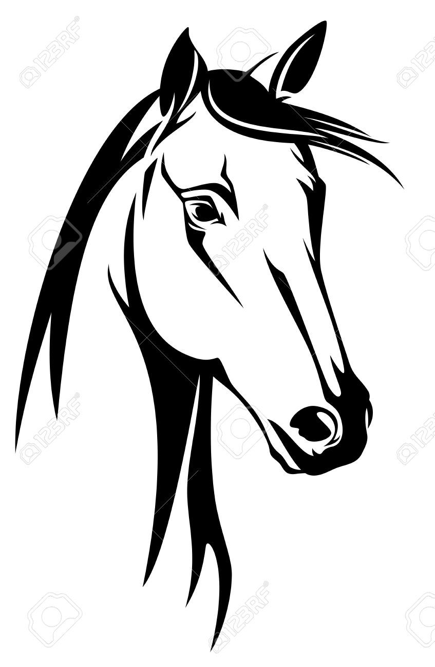 847x1300 Stock Vector Drawings Horse Drawings, Silhouette Art, Art
