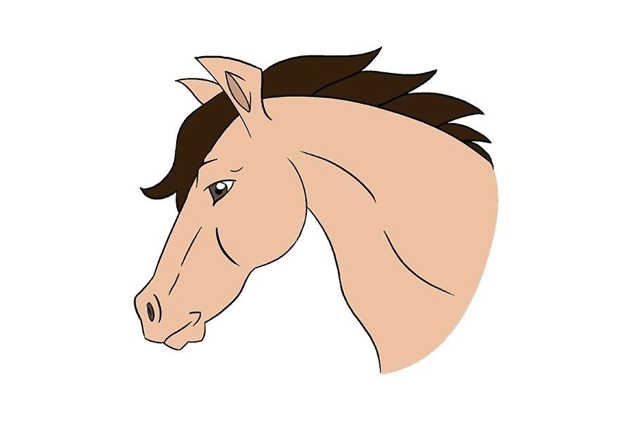 900x600 Mustang Horse Drawings