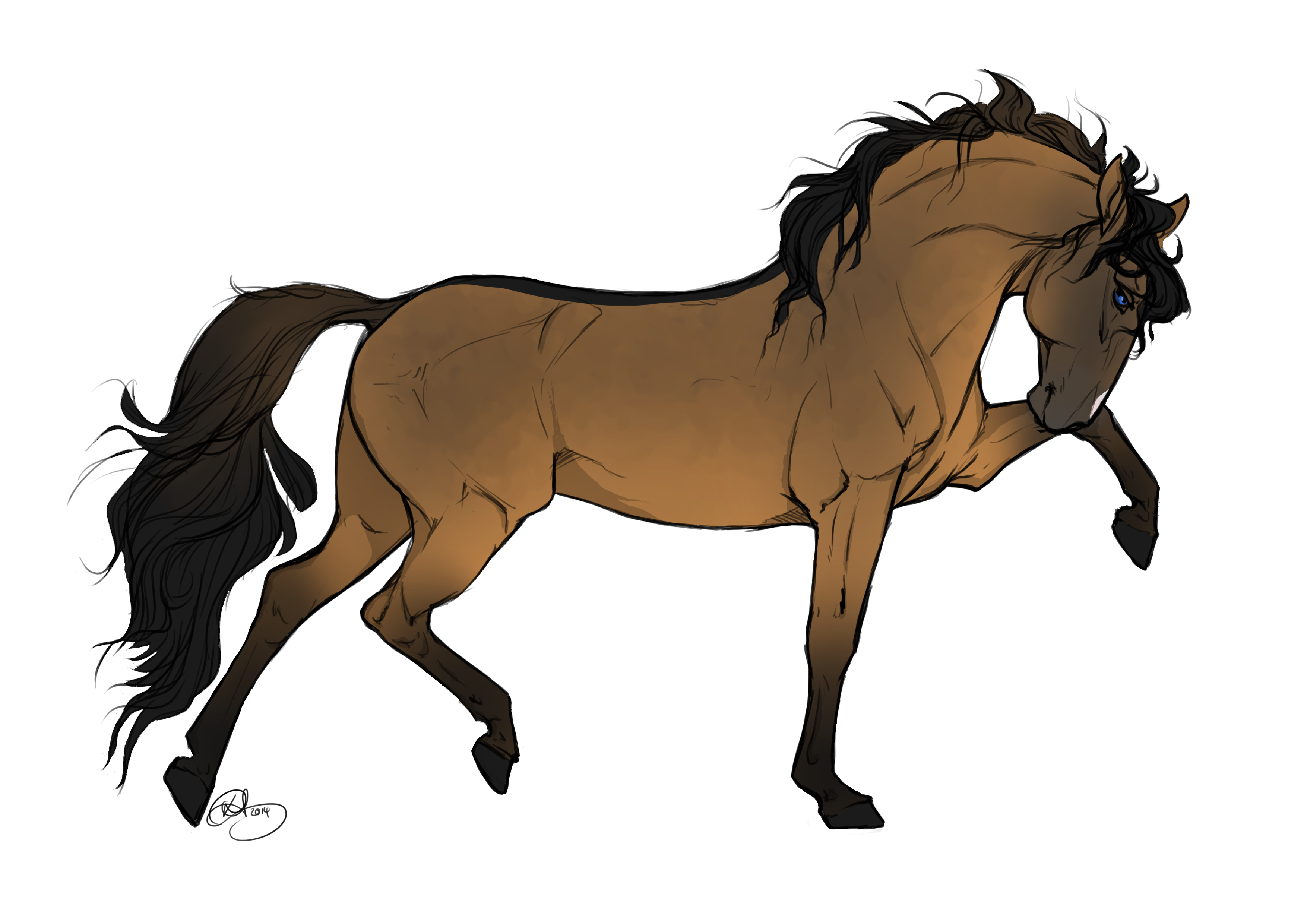 3508x2480 Collection Of Free Horse Drawing Beautiful Download On Ui Ex