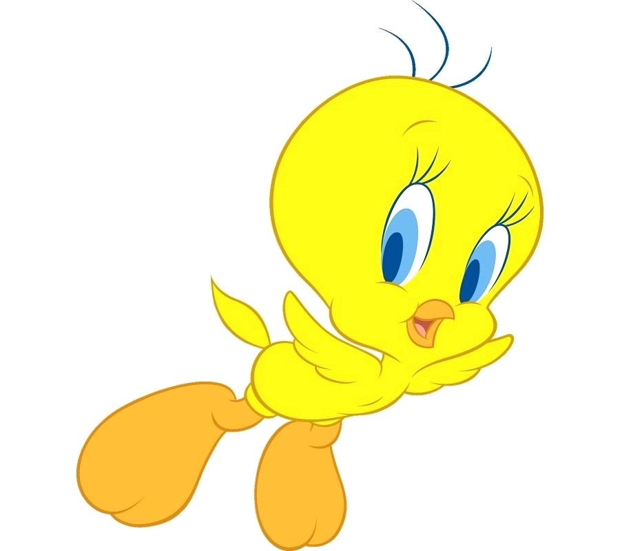 900x800 tweety drawing tweety bird line drawing
