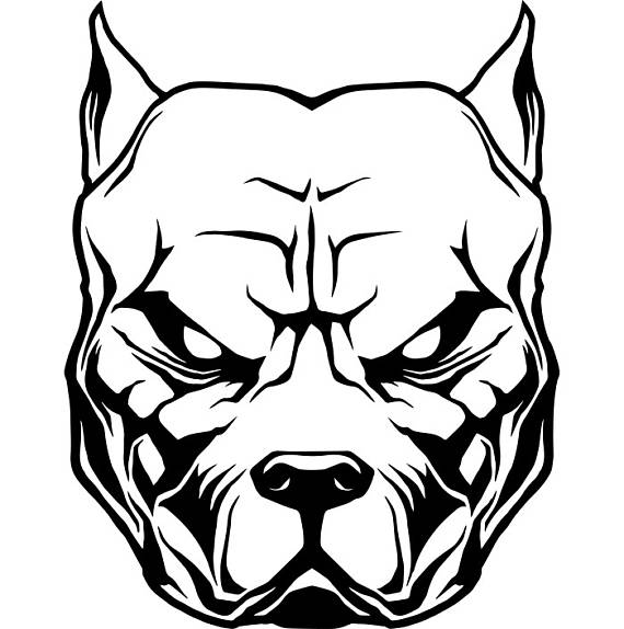 570x574 Pitbull Clipart Line Drawing