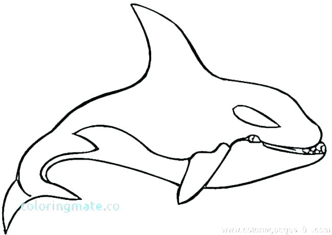 650x461 Whale Drawings For Kids