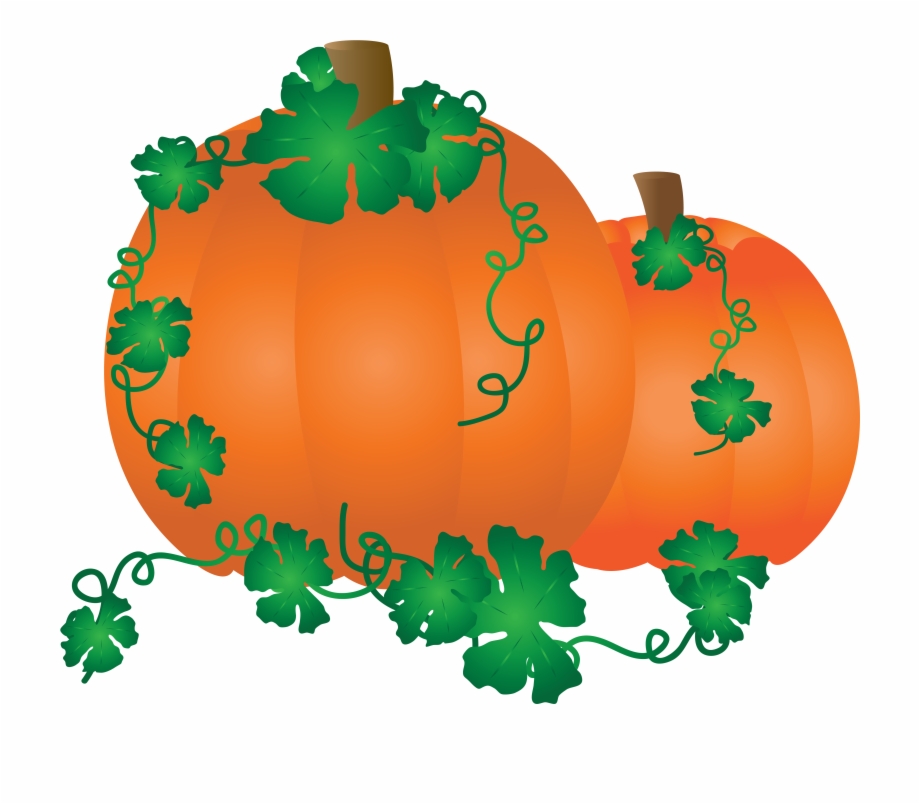 920x804 Drawing Of Orange Pumpkin With Green Leaves Png Download Free