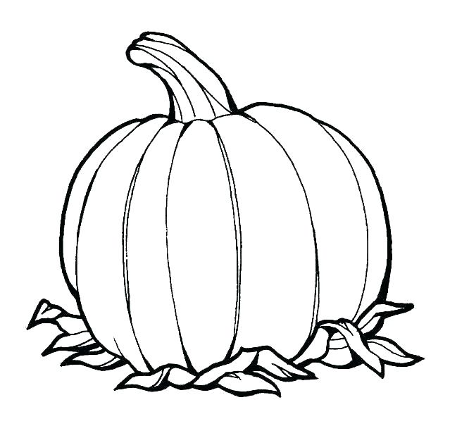 666x605 Free Pictures Of Pumpkins Free Pumpkin Coloring Pages Mini Pumpkin