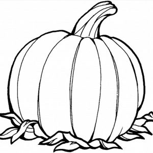 300x300 Pumpkin Drawings Fresh Drawings Pumpkin Drawing At Getdrawings