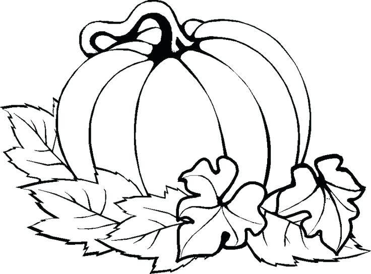 free-pumpkin-drawing-free-download-on-clipartmag