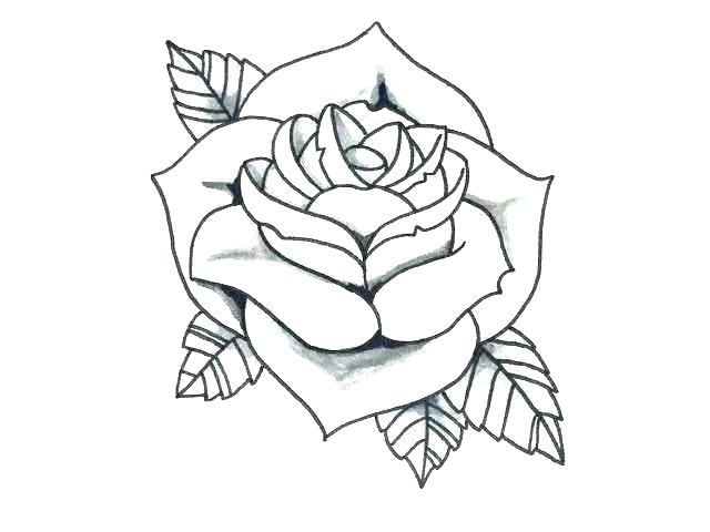 640x480 Simple Rose Outline Easy Roses Drawings Rose Outline With Stem
