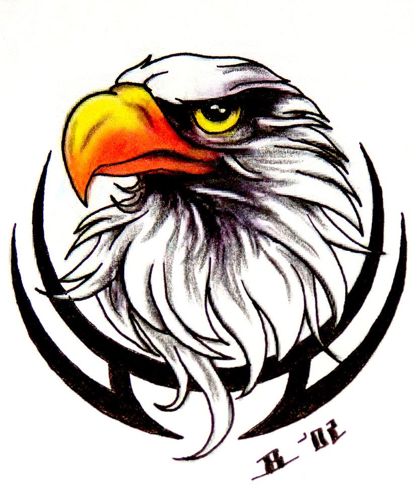 822x971 Tattoo Designs Crazy Tattoo Drawings Free Scottish Tattoo