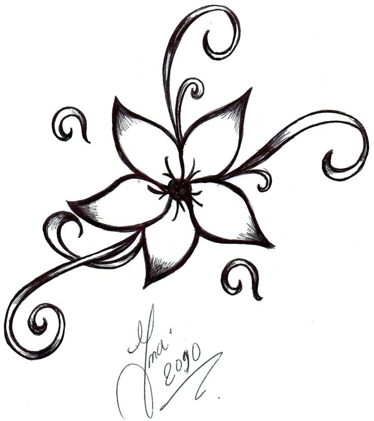 736x830 Hawaiian Flower Drawing