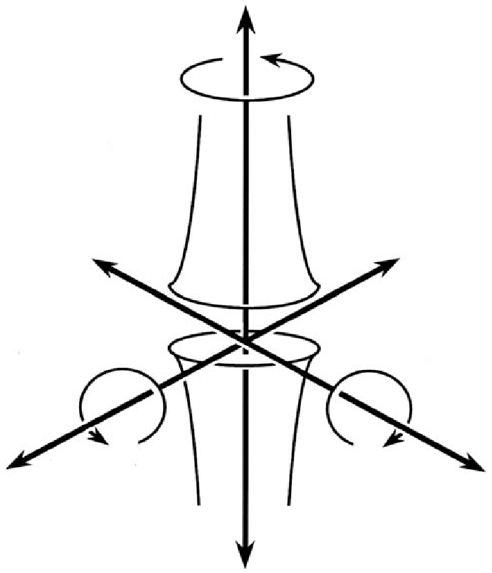 715x833 schematic drawing of the degrees of freedom of the humeral head