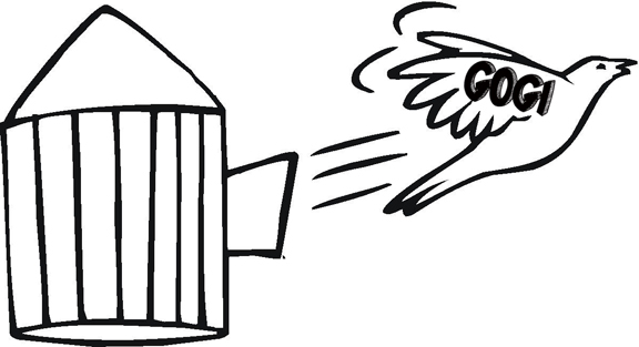 576x313 Tool Week Of September Ultimate Freedom Getting Out