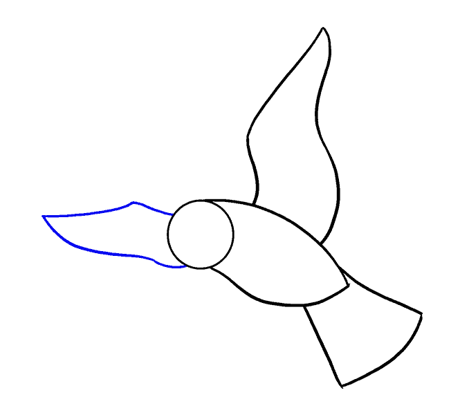 678x600 How To Draw A Bird Easy Step