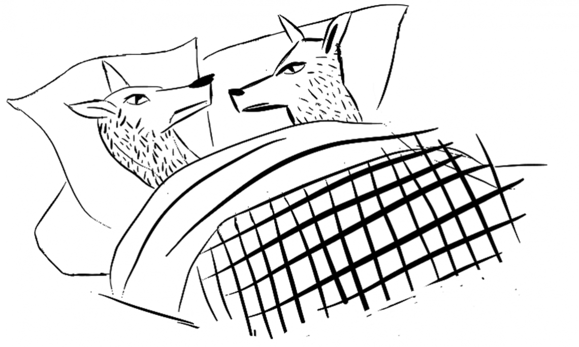 1140x684 Let's Stop Pretending The Liberal Party Believes In Free Speech