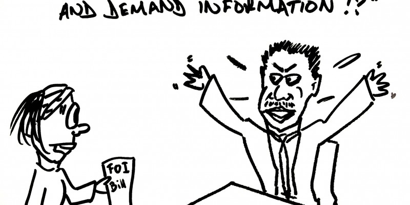 800x400 Zambia's Secret Freedom Of Information Bill Free Speech Debate