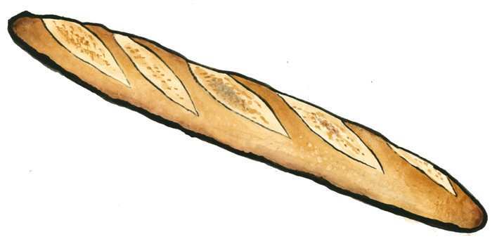 707x347 Elegant Figure Of Bread Drawing Baby Center