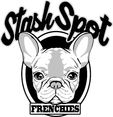384x400 French Bulldog Black And White Clipart