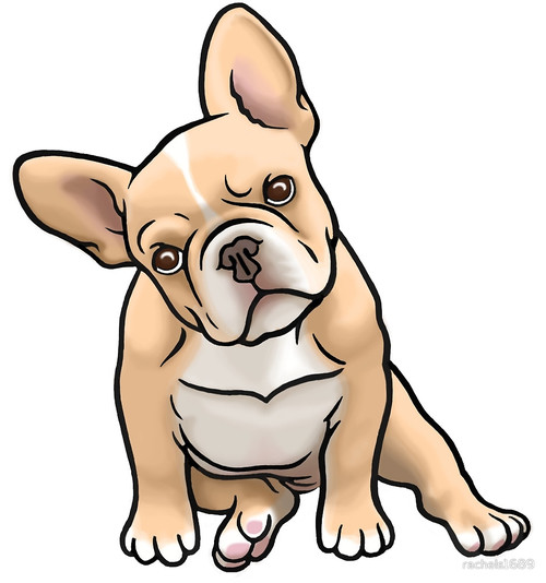 French Bulldog Drawing Free download on ClipArtMag