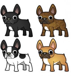 250x272 Frenchies Everywhere! Warm Fuzzy Feelings And Fr Obsessions