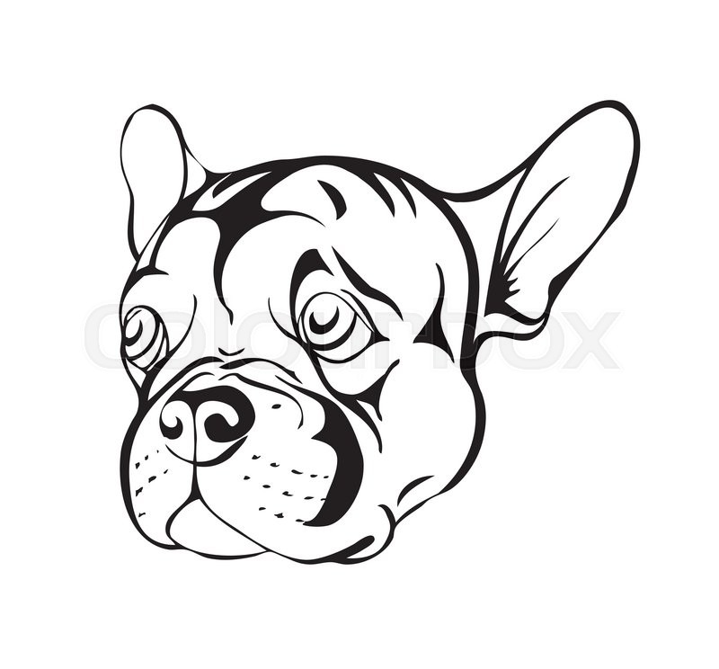 800x744 Sad French Bulldog, Black And White Stylized Illustration Stock