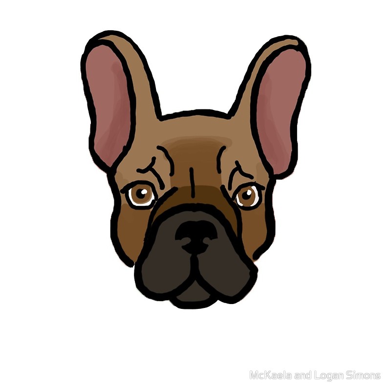 800x800 French Bulldog Plain Drawing
