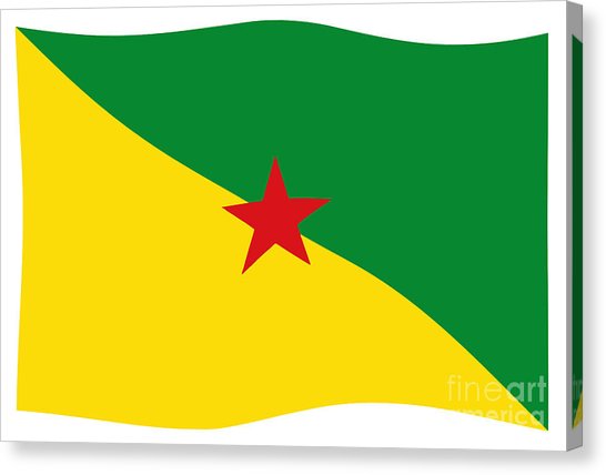 546x428 French Drawing Canvas Prints