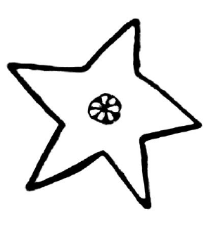 290x324 A Starfish Drawn