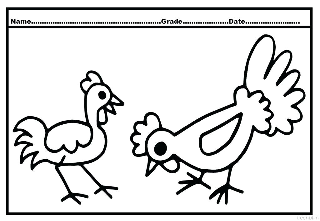 1024x709 hen coloring pages big fat hen coloring
