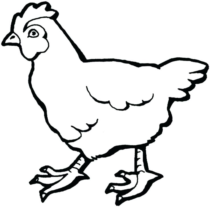 French Hen Drawing | Free download on ClipArtMag