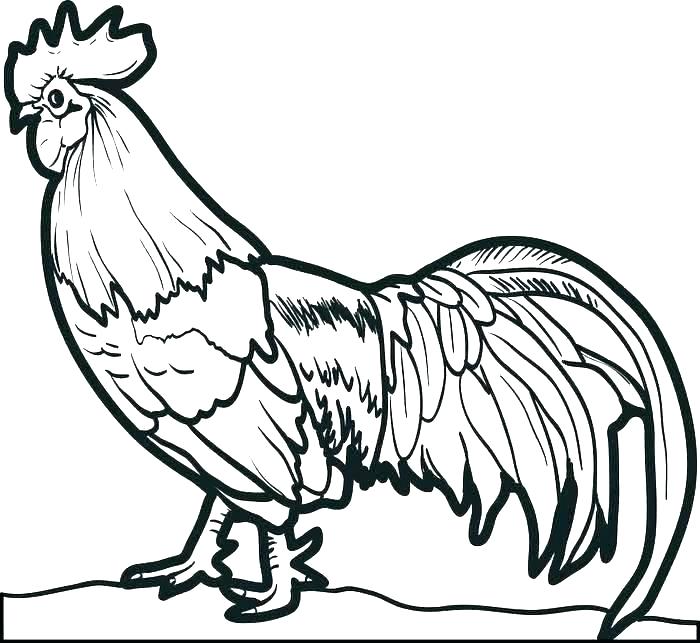 French Hen Drawing | Free download on ClipArtMag