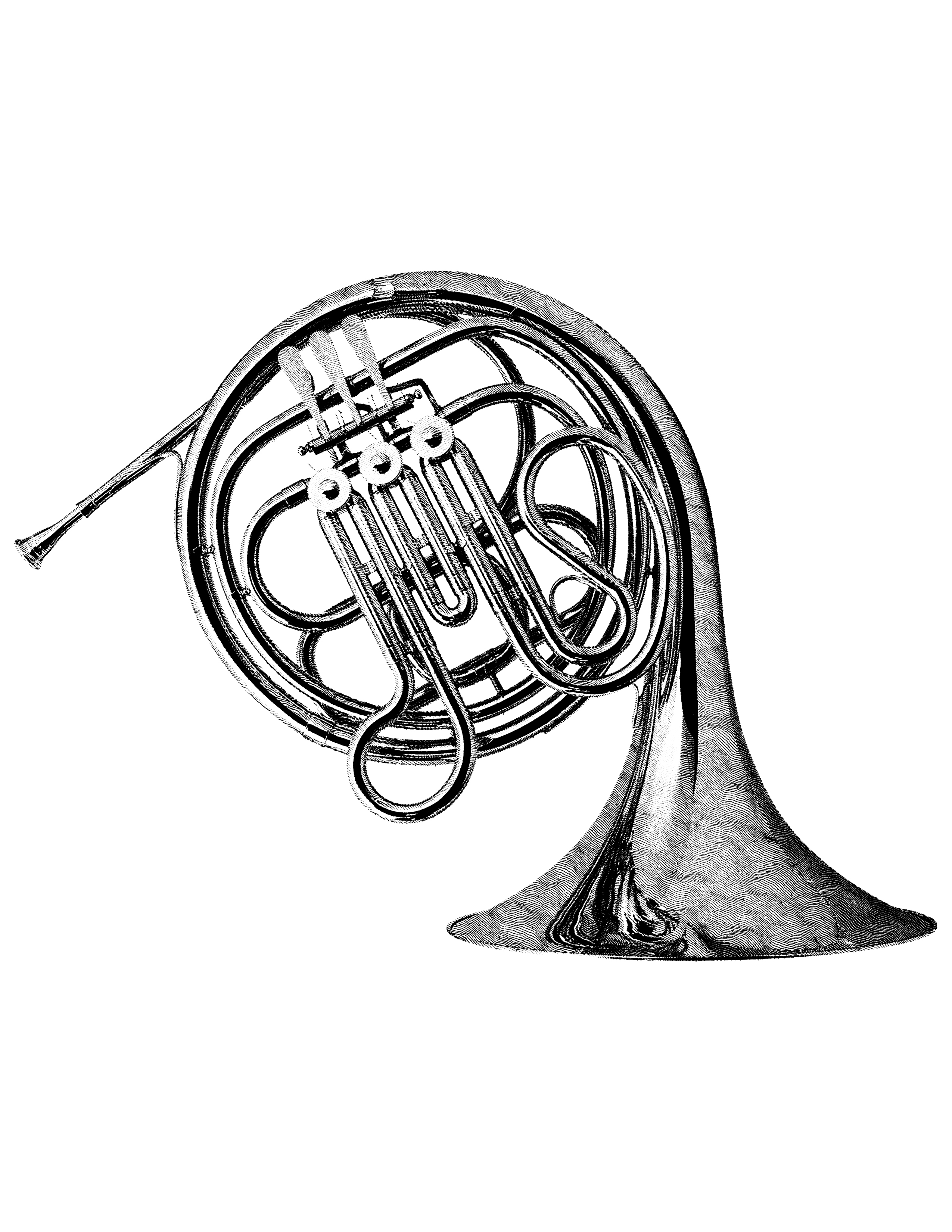 French Horn Drawing | Free download on ClipArtMag