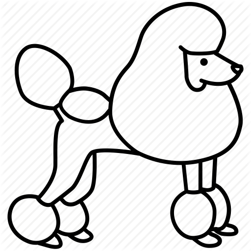 512x512 Maltese Drawing Toy Poodle Huge Freebie! Download